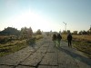 20050303_102240