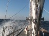20080921_191504