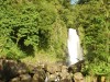 20140322_213524